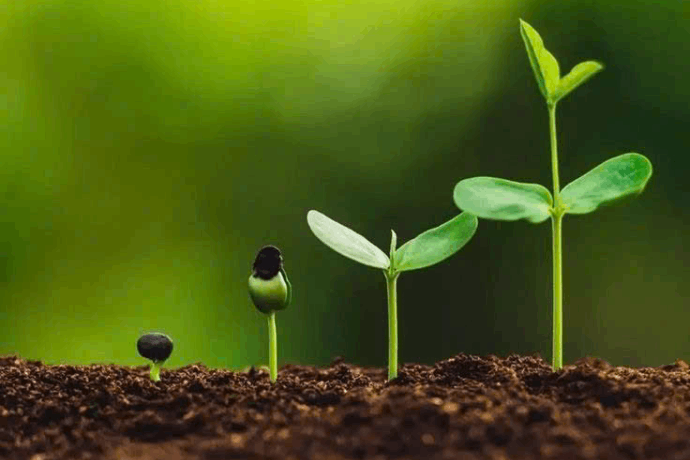 KẾT QUẢ QUAN TRẮC KHÍ THẢI QUÝ 3 NĂM 2025
